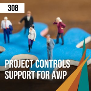 308 Project Controls Support for AWP